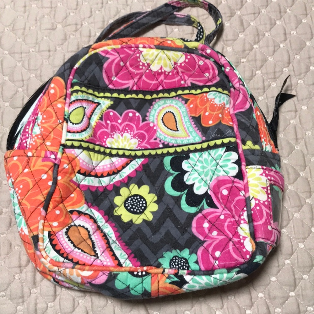 Insulated lunch bag